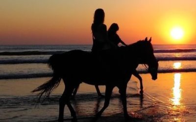 Val van een paard: 6 soorten letsel tijdens het paardrijden