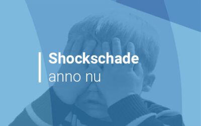 Vervolg blog: wat is shockschade anno nu?