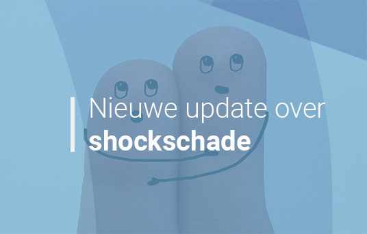 Puntjes op de i bij shockschade of is het schokschade?